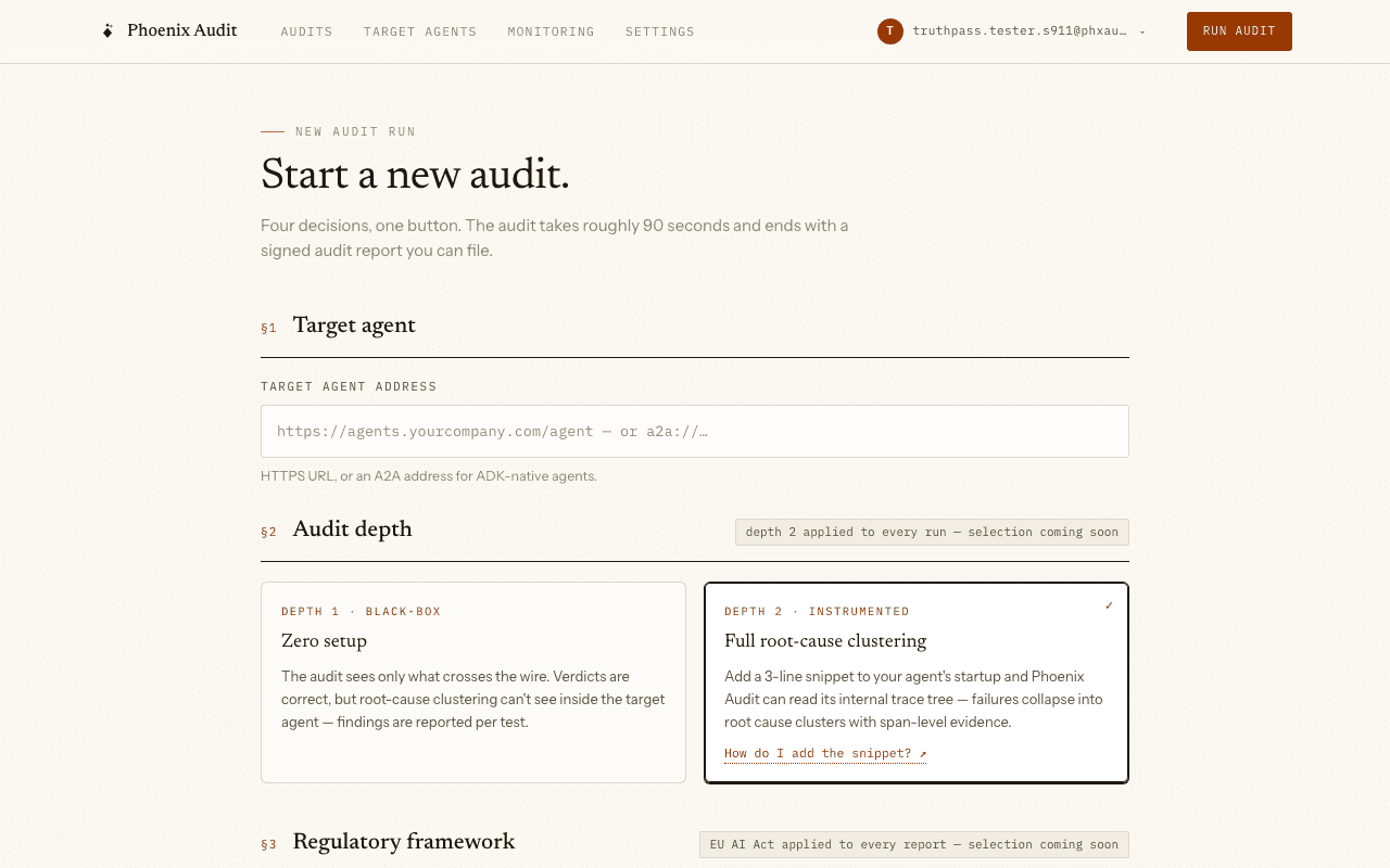 The new-audit wizard